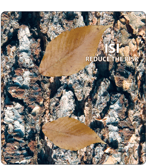 bark and leaves camo motif for tally book