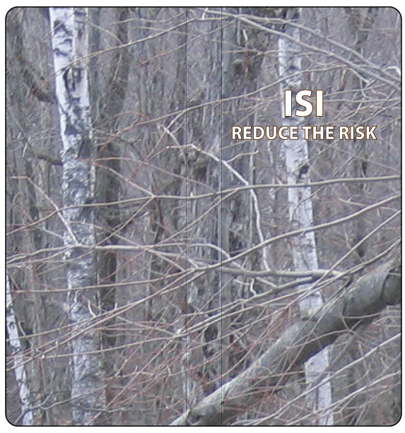 bare trees motif for tally book camo cover