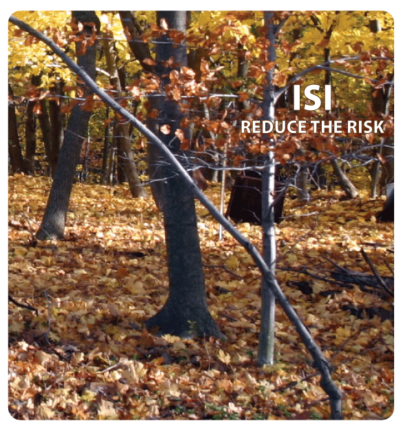 trees and autumn leaves motif for vinyl camo tally book