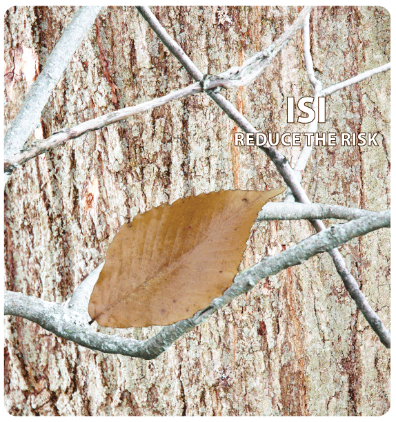 tree bark camo design for tally book